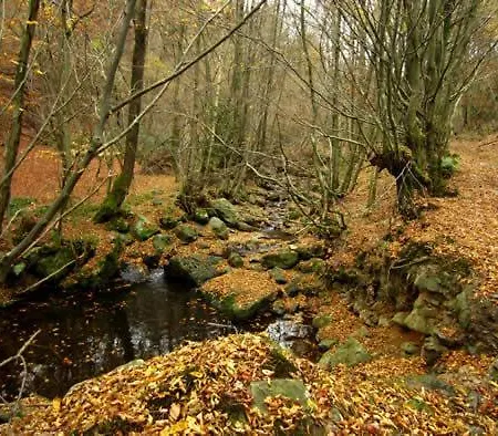 Chemin Babette * Stoumont