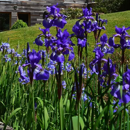 Chemin Babette Appartamento